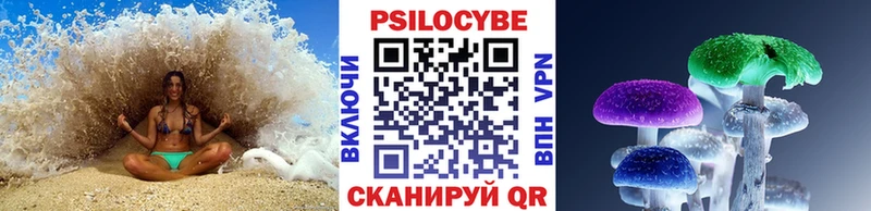 Псилоцибиновые грибы GOLDEN TEACHER  цены наркотик  блэк спрут зеркало  Катайск 